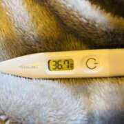 ヒメ日記 2026/01/19 14:17 投稿 オトハ(奥方) 奥様幕府