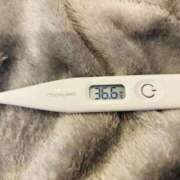 ヒメ日記 2026/01/24 14:07 投稿 オトハ(奥方) 奥様幕府