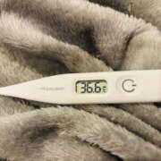 ヒメ日記 2026/01/25 12:57 投稿 オトハ(奥方) 奥様幕府