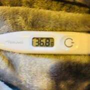 ヒメ日記 2026/01/28 15:17 投稿 オトハ(奥方) 奥様幕府