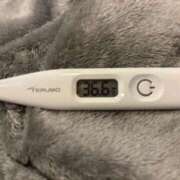 ヒメ日記 2026/01/30 15:35 投稿 オトハ(奥方) 奥様幕府