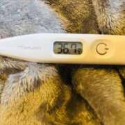 ヒメ日記 2026/02/01 13:48 投稿 オトハ(奥方) 奥様幕府