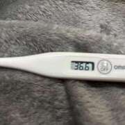 ヒメ日記 2026/02/17 14:37 投稿 オトハ(奥方) 奥様幕府