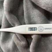 ヒメ日記 2026/02/20 15:57 投稿 オトハ(奥方) 奥様幕府