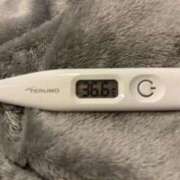 オトハ(奥方) 𝐺𝑜𝑜𝑑 𝑚𝑜𝑟𝑛𝑖𝑛𝑔︎🩵 奥様幕府