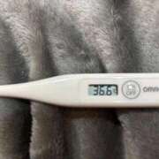 ヒメ日記 2026/02/24 14:57 投稿 オトハ(奥方) 奥様幕府