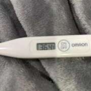 ヒメ日記 2026/03/11 13:17 投稿 オトハ(奥方) 奥様幕府