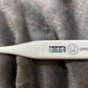 ヒメ日記 2026/03/12 13:57 投稿 オトハ(奥方) 奥様幕府