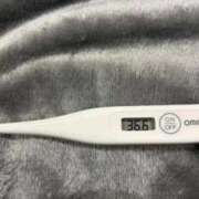 ヒメ日記 2026/03/14 15:57 投稿 オトハ(奥方) 奥様幕府