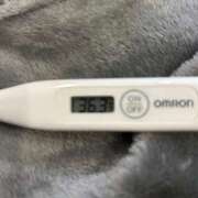 ヒメ日記 2026/03/16 14:29 投稿 オトハ(奥方) 奥様幕府