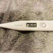 ヒメ日記 2026/03/17 14:57 投稿 オトハ(奥方) 奥様幕府