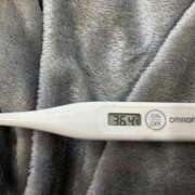 ヒメ日記 2026/03/19 15:58 投稿 オトハ(奥方) 奥様幕府