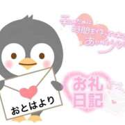 ヒメ日記 2026/03/22 02:44 投稿 オトハ(奥方) 奥様幕府