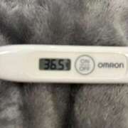 ヒメ日記 2026/03/23 14:50 投稿 オトハ(奥方) 奥様幕府