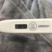 ヒメ日記 2026/03/24 14:40 投稿 オトハ(奥方) 奥様幕府