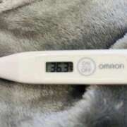 ヒメ日記 2026/03/25 14:57 投稿 オトハ(奥方) 奥様幕府