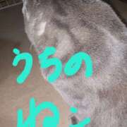 ヒメ日記 2025/11/10 00:06 投稿 塚越しおり 五十路マダム宇都宮店(カサブランカグループ)