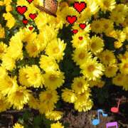 ヒメ日記 2025/11/19 19:14 投稿 塚越しおり 五十路マダム宇都宮店(カサブランカグループ)