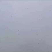 ヒメ日記 2025/11/18 12:59 投稿 西野かんな 東京不倫～とうきょうふりん～