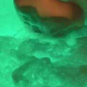 ヒメ日記 2025/09/22 02:24 投稿 あさみ Jewelry club（ジュエリークラブ）