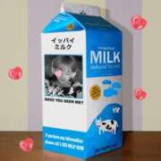 ヒメ日記 2025/10/13 14:56 投稿 さくらこ モアグループ神栖人妻花壇