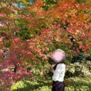 ヒメ日記 2025/11/25 12:14 投稿 茜（あかね） ROYAL FACE FUKUOKA