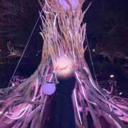 ヒメ日記 2025/12/15 17:14 投稿 茜（あかね） ROYAL FACE FUKUOKA