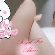 ヒメ日記 2025/12/15 23:19 投稿 茜（あかね） ROYAL FACE FUKUOKA