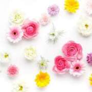 ヒメ日記 2025/10/07 20:05 投稿 綾瀬もも ザイオン 会員制アロマエステ