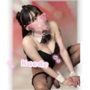 ヒメ日記 2025/09/24 17:19 投稿 ☆かえで☆ Kiseki