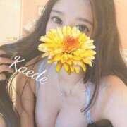 ヒメ日記 2025/09/24 23:09 投稿 ☆かえで☆ Kiseki