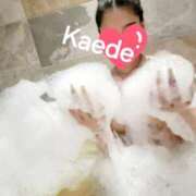 ヒメ日記 2025/09/25 19:09 投稿 ☆かえで☆ Kiseki