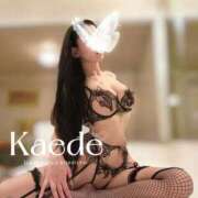 ヒメ日記 2025/09/26 17:19 投稿 ☆かえで☆ Kiseki