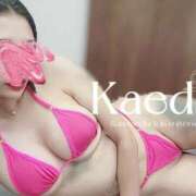 ヒメ日記 2025/09/26 18:09 投稿 ☆かえで☆ Kiseki