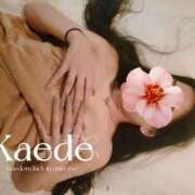 ヒメ日記 2025/10/12 20:35 投稿 ☆かえで☆ Kiseki