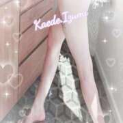 ヒメ日記 2025/10/26 22:16 投稿 ☆かえで☆ Kiseki