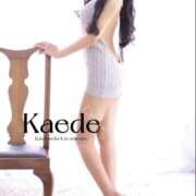 ヒメ日記 2025/11/02 22:19 投稿 ☆かえで☆ Kiseki