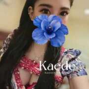 ヒメ日記 2025/11/03 03:41 投稿 ☆かえで☆ Kiseki