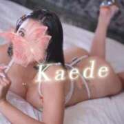 ☆かえで☆ 姫納🥹♥️ Kiseki