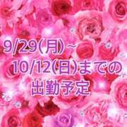 ヒメ日記 2025/09/30 01:57 投稿 そら 池袋人妻城