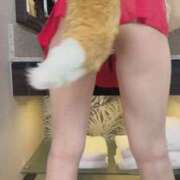 ヒメ日記 2025/11/17 22:51 投稿 紫苑あやめ ウルトラセレクション