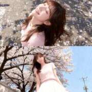 ヒメ日記 2026/03/15 14:20 投稿 紫苑あやめ ウルトラセレクション