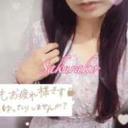 ヒメ日記 2025/10/31 15:18 投稿 さくらこ ごほうびSPA京都店