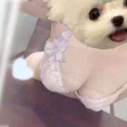 ヒメ日記 2025/09/30 11:19 投稿 なごみ ごほうびSPA京都店