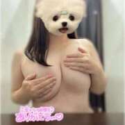 ヒメ日記 2025/10/08 22:18 投稿 なごみ ごほうびSPA京都店