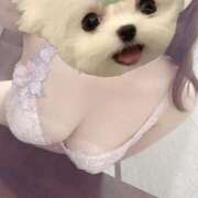 ヒメ日記 2025/10/21 20:58 投稿 なごみ ごほうびSPA京都店