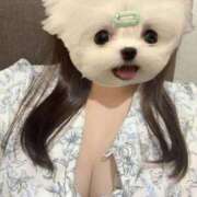 ヒメ日記 2025/10/22 18:28 投稿 なごみ ごほうびSPA京都店