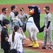 ヒメ日記 2026/05/12 23:59 投稿 影山せいら 一夜妻