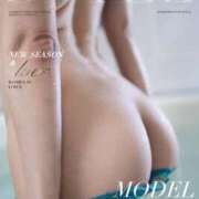 ヒメ日記 2026/04/11 02:42 投稿 しぐれ フロンティア