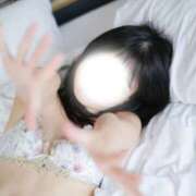 ヒメ日記 2026/04/14 01:51 投稿 しぐれ フロンティア